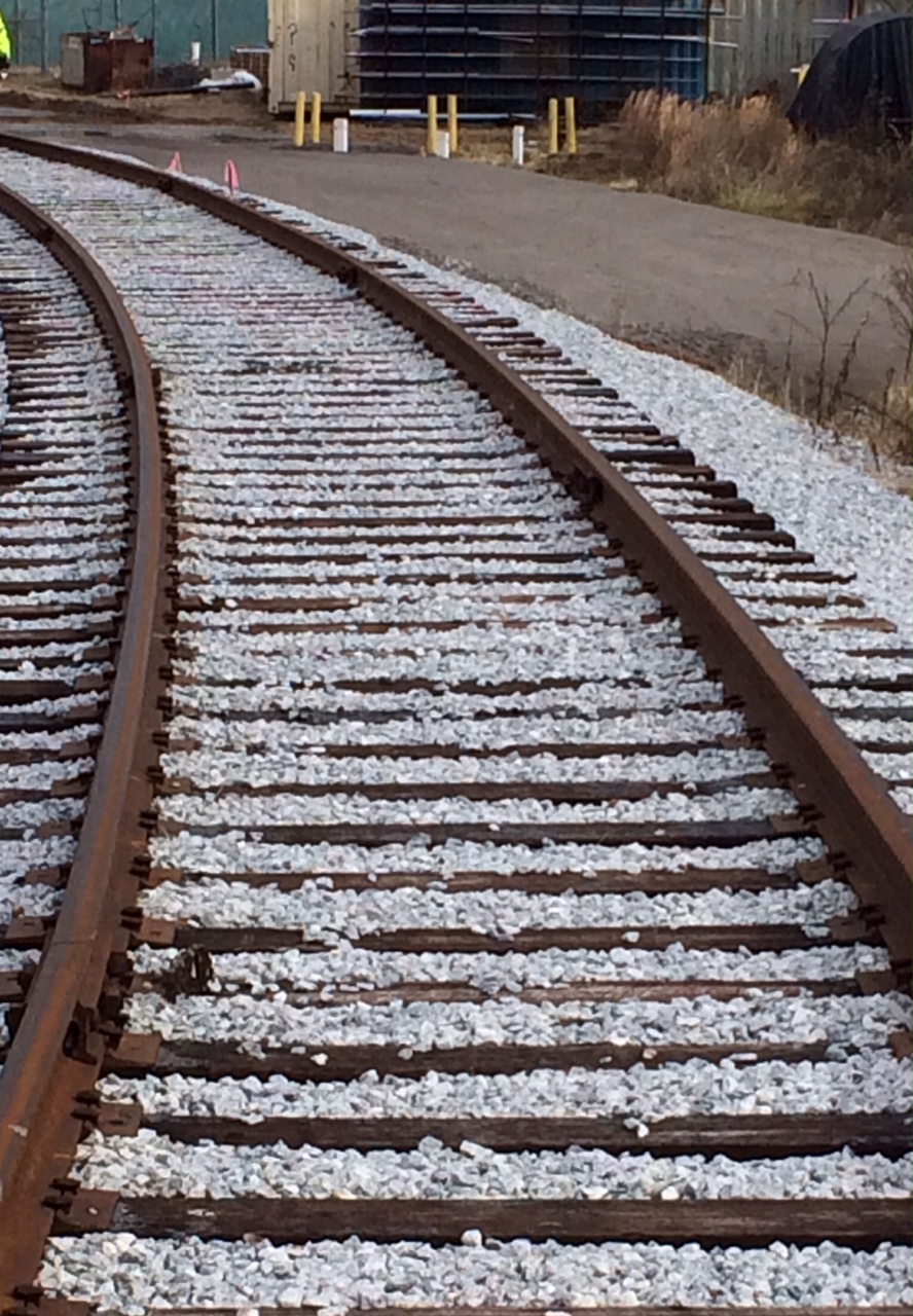 track bed Tar Heel Railroad
